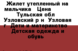 Жилет утепленный на мальчика › Цена ­ 1 100 - Тульская обл., Узловский р-н, Узловая г. Дети и материнство » Детская одежда и обувь   